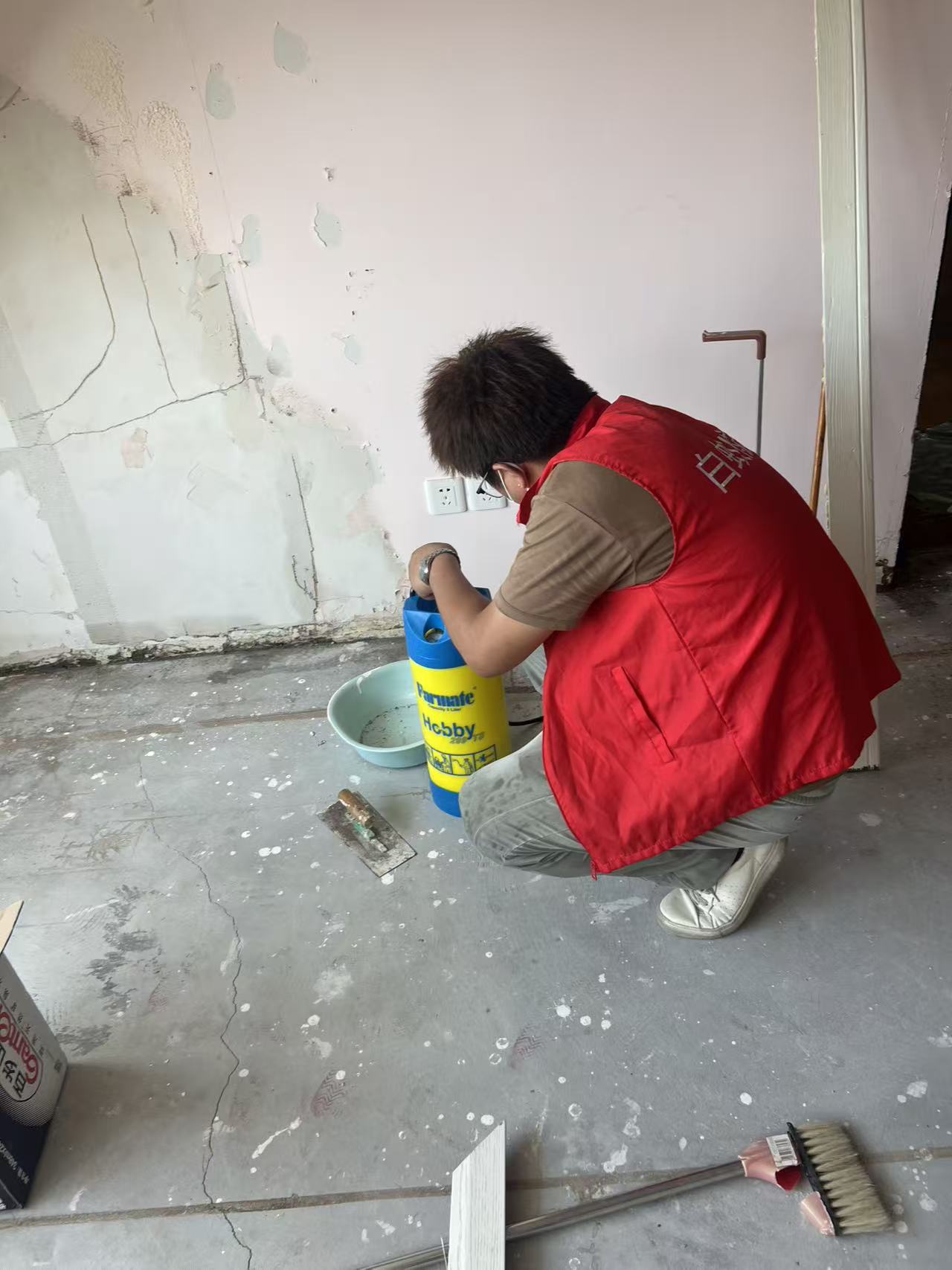 嘉兴市白蚁防疫防控站中心:白蚁黄蚁消灭方向:科学防治与长效管理指南 嘉兴市白蚁防疫防控站中心:白蚁黄蚁消灭方向:科学防治与长效管理指南