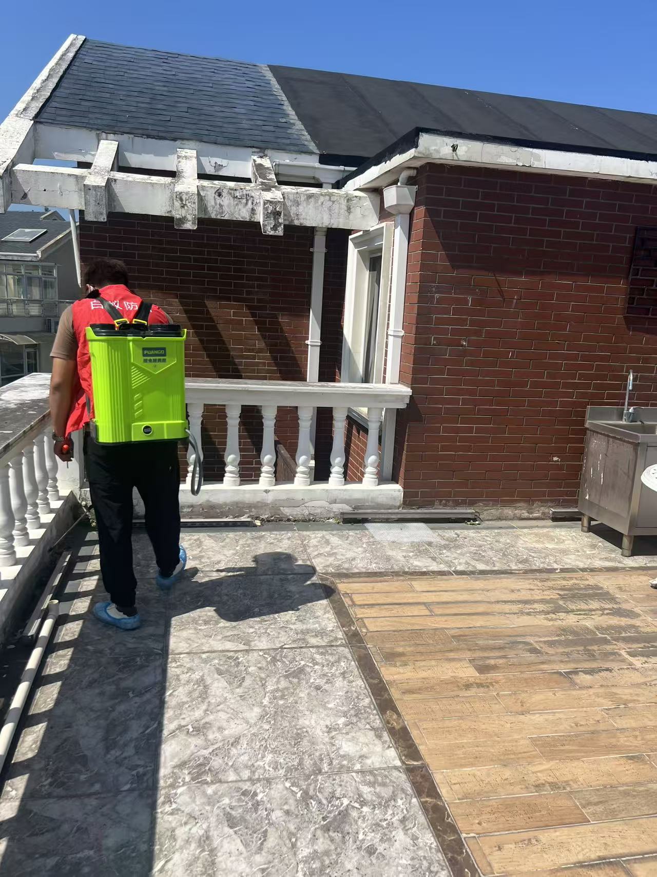 灯上白蚁处理方法：从预防到根治的全面指南