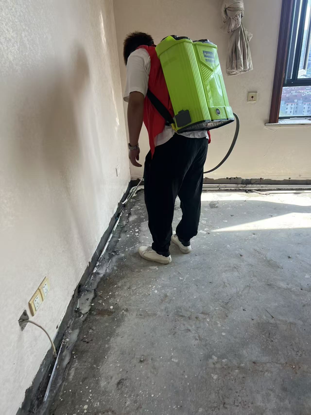 家里插座全是白蚁:一场隐秘的生态入侵与家庭危机 家里插座全是白蚁:一场隐秘的生态入侵与家庭危机