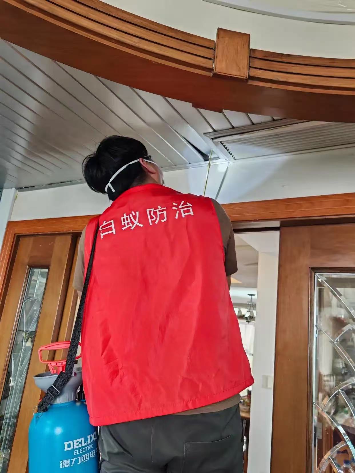 柯桥区本地白蚁防治站：现代花园的房子有白蚁：识别、防治与长期维护指南