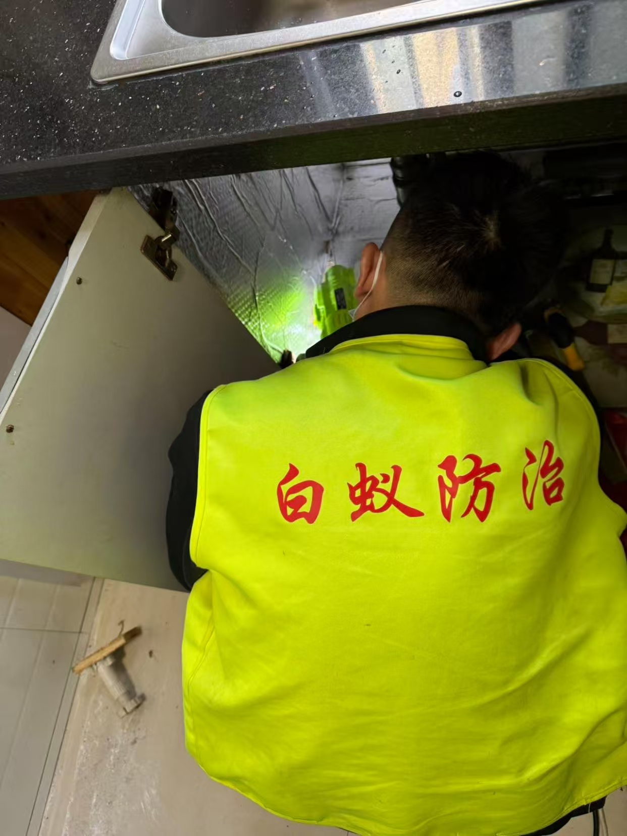 绍兴市白蚁防治站：物业负责杀白蚁：守护家园安宁的必备服务