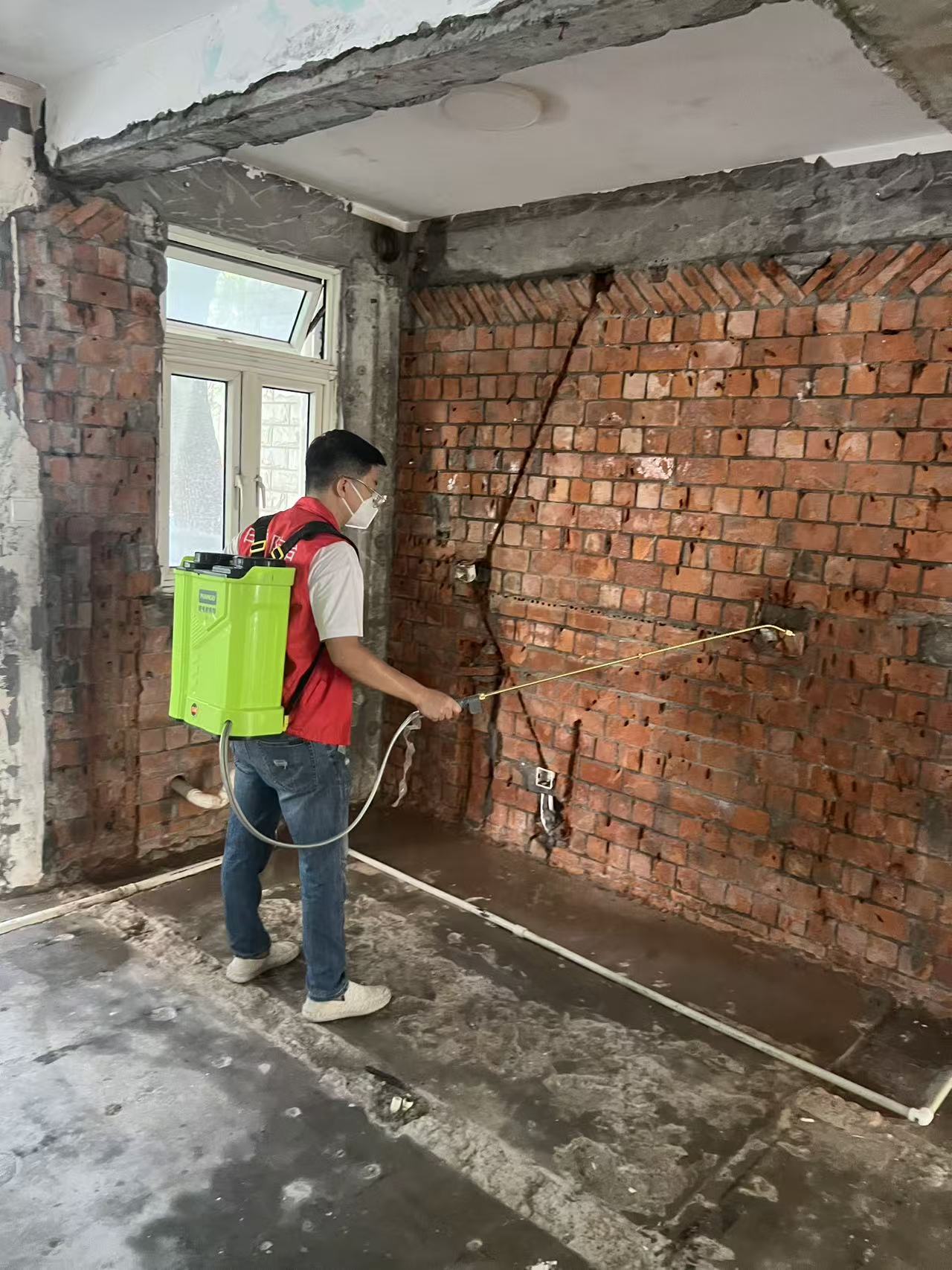 杭州市白蚁防治站：什么木头能杀白蚁：天然防蚁木材的科学选择与应用指南