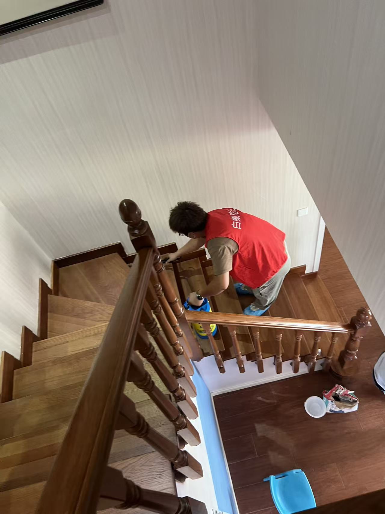 白蚁防治与新型墙体材料收费：现代建筑的双重挑战