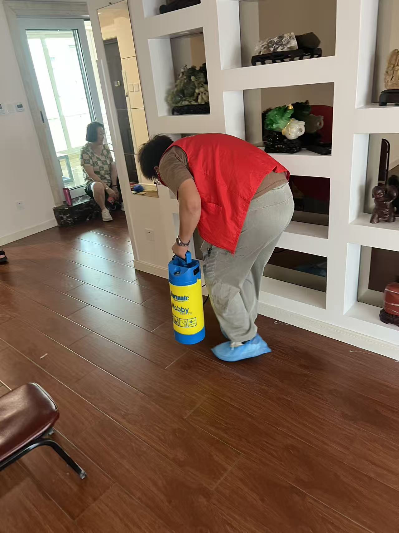 白蚁对战黑影谁会赢：一场微观世界的生存博弈