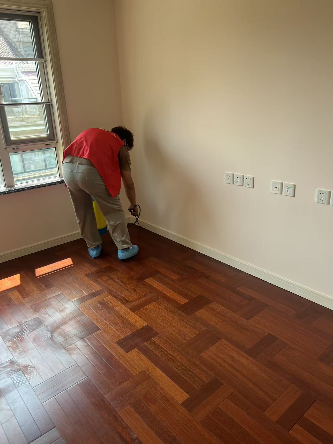 杭州市白蚁防治站:澳洲白蚁防护标准:守护家园的绿色防线 杭州市白蚁防治站:澳洲白蚁防护标准:守护家园的绿色防线