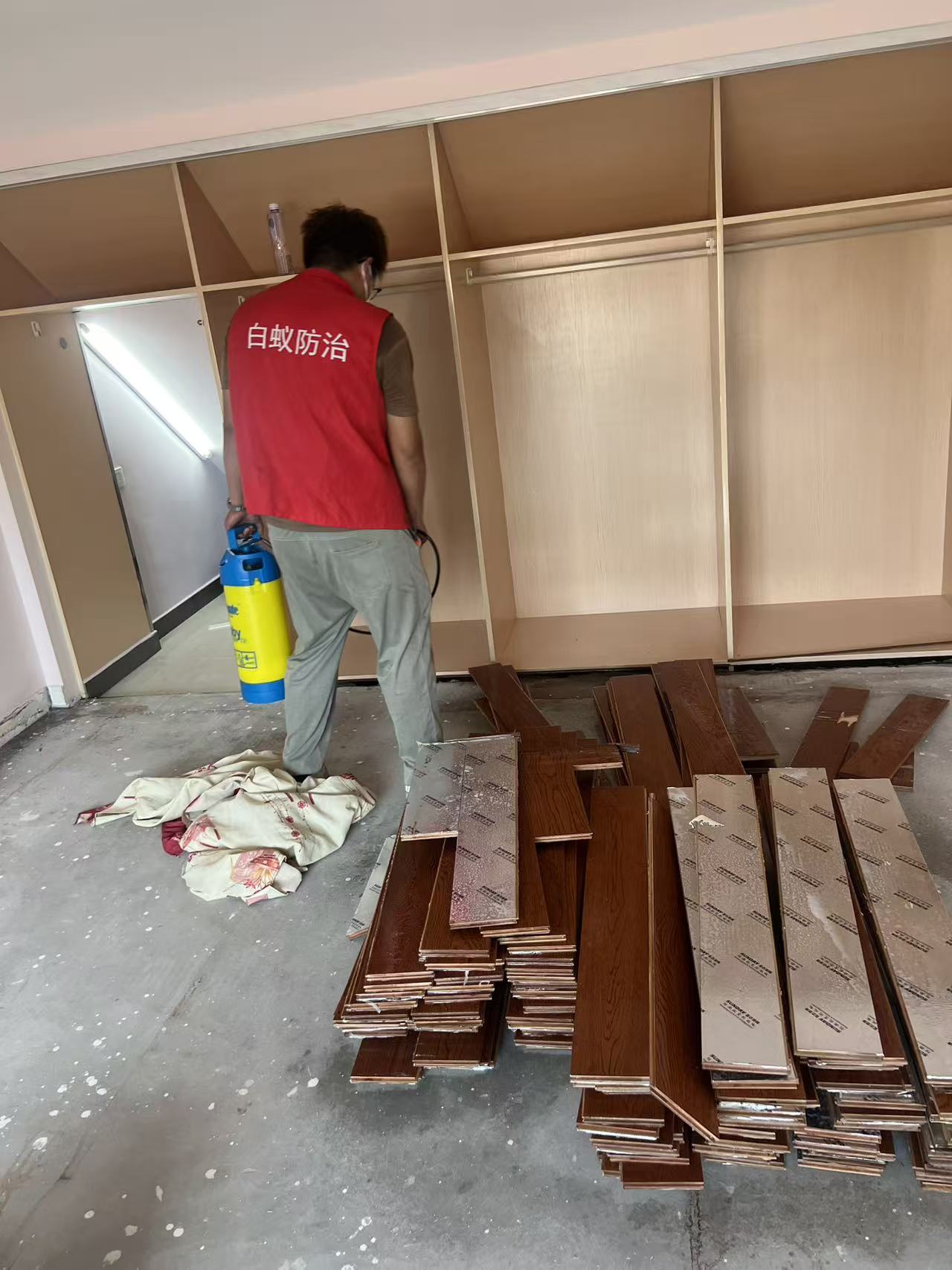 高科技找白蚁窝:现代科技如何精准定位白蚁巢穴 高科技找白蚁窝:现代科技如何精准定位白蚁巢穴