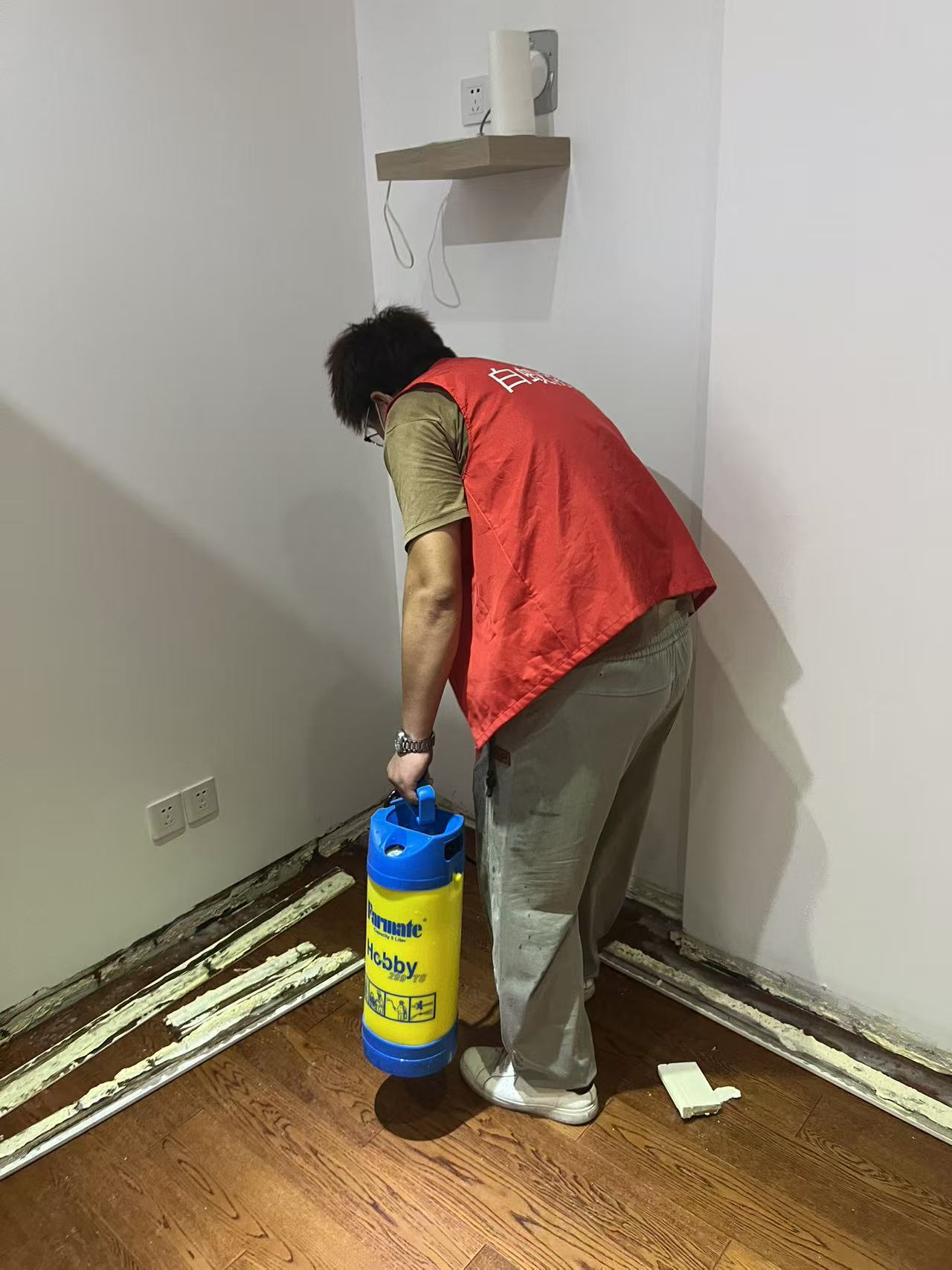 为什么就有白蚁了呢？揭秘白蚁入侵的根源与防治之道