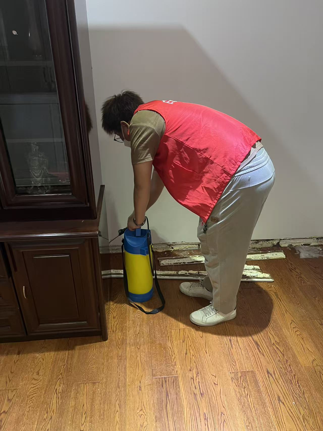 坑梓白蚁灭治价格指南：如何有效控制白蚁并合理预算