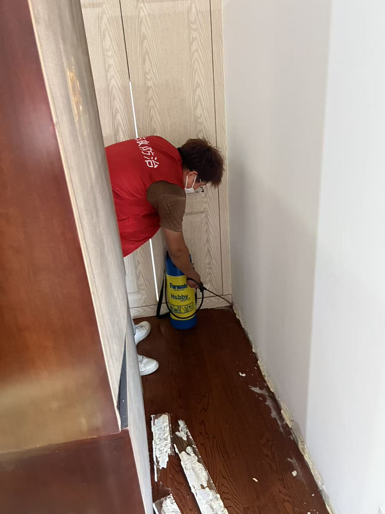 江岸专业灭白蚁：守护家园的隐形卫士