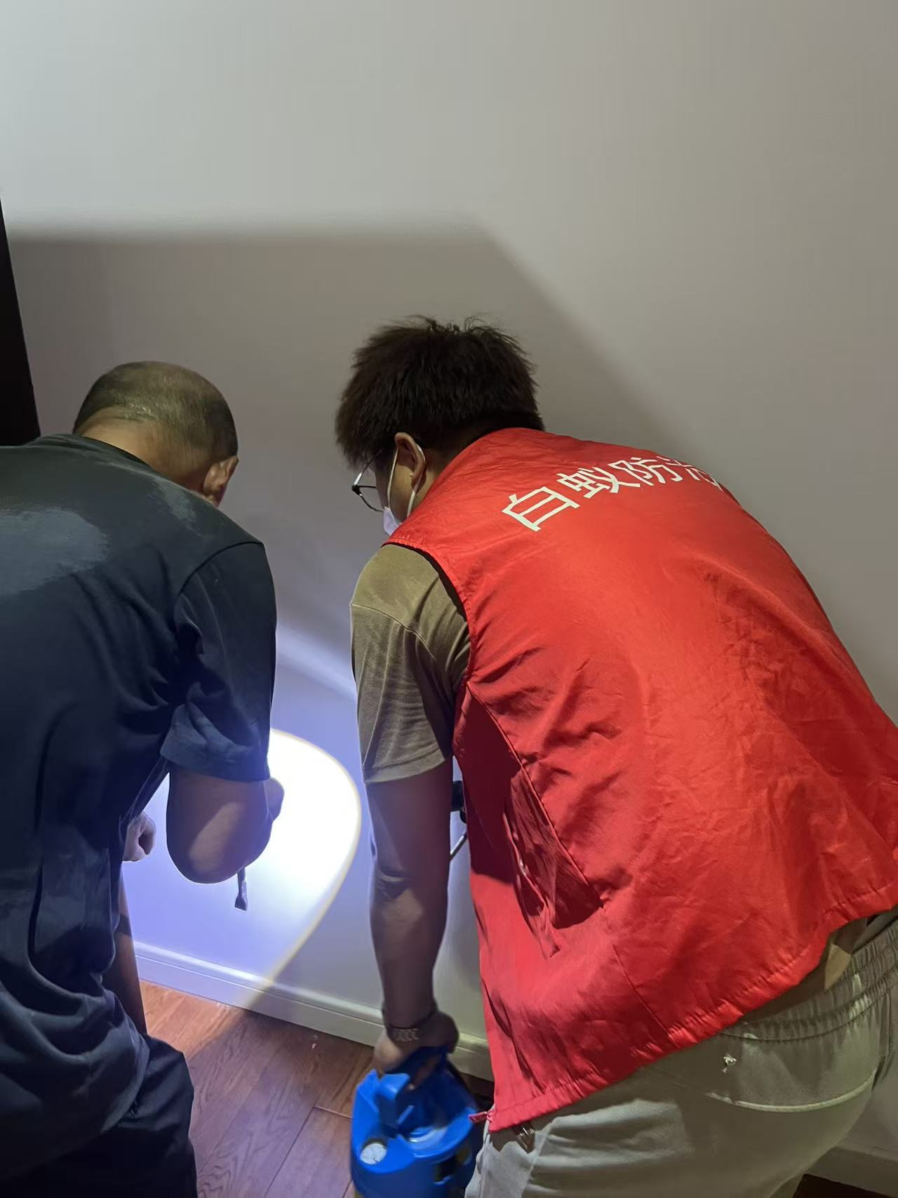 杭州市白蚁防治站：人工白蚁鸡枞菌种：自然与科技的完美融合