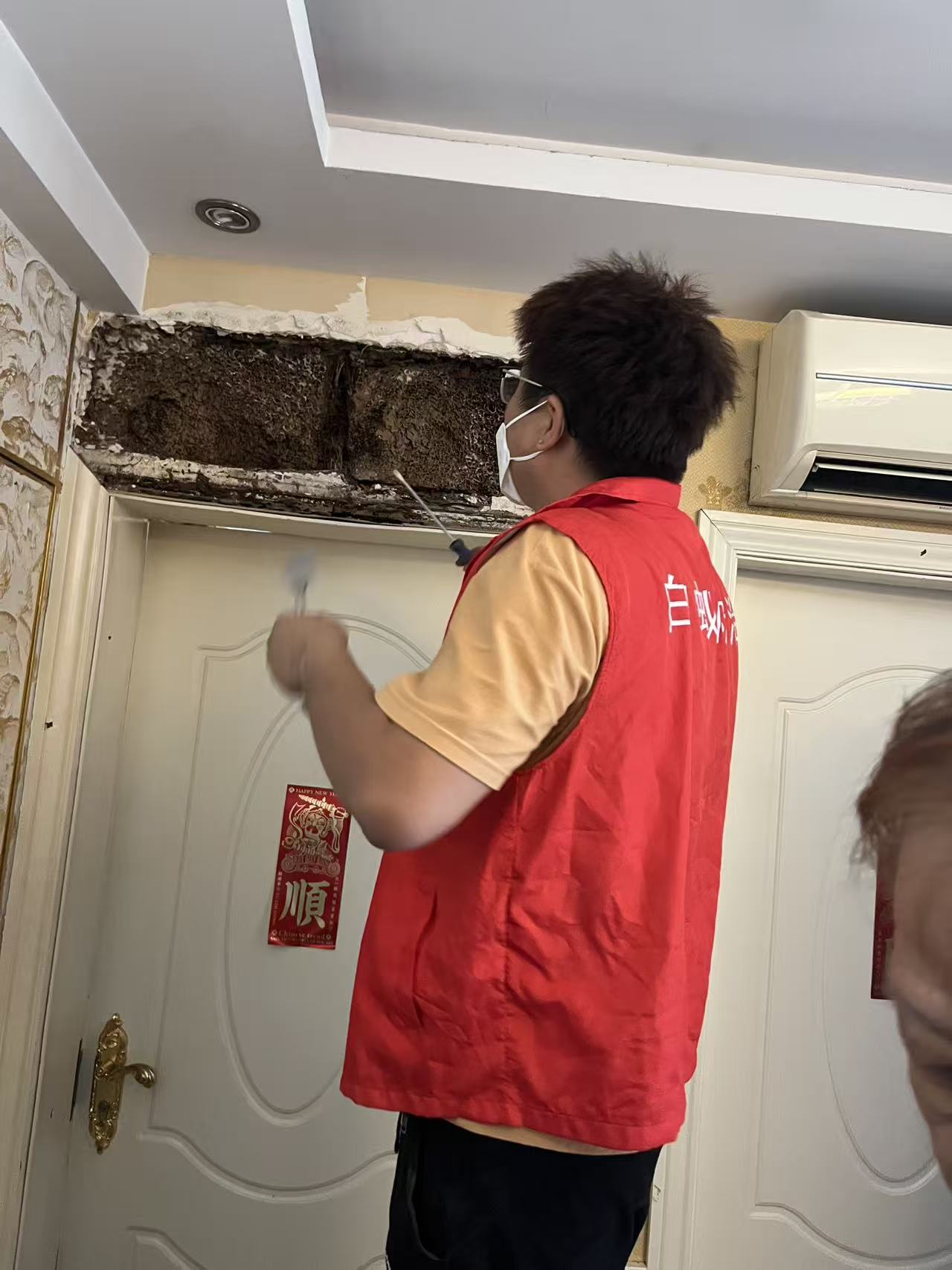 白蚁最怕的木材：揭秘天然抗蚁的木材选择与防护策略