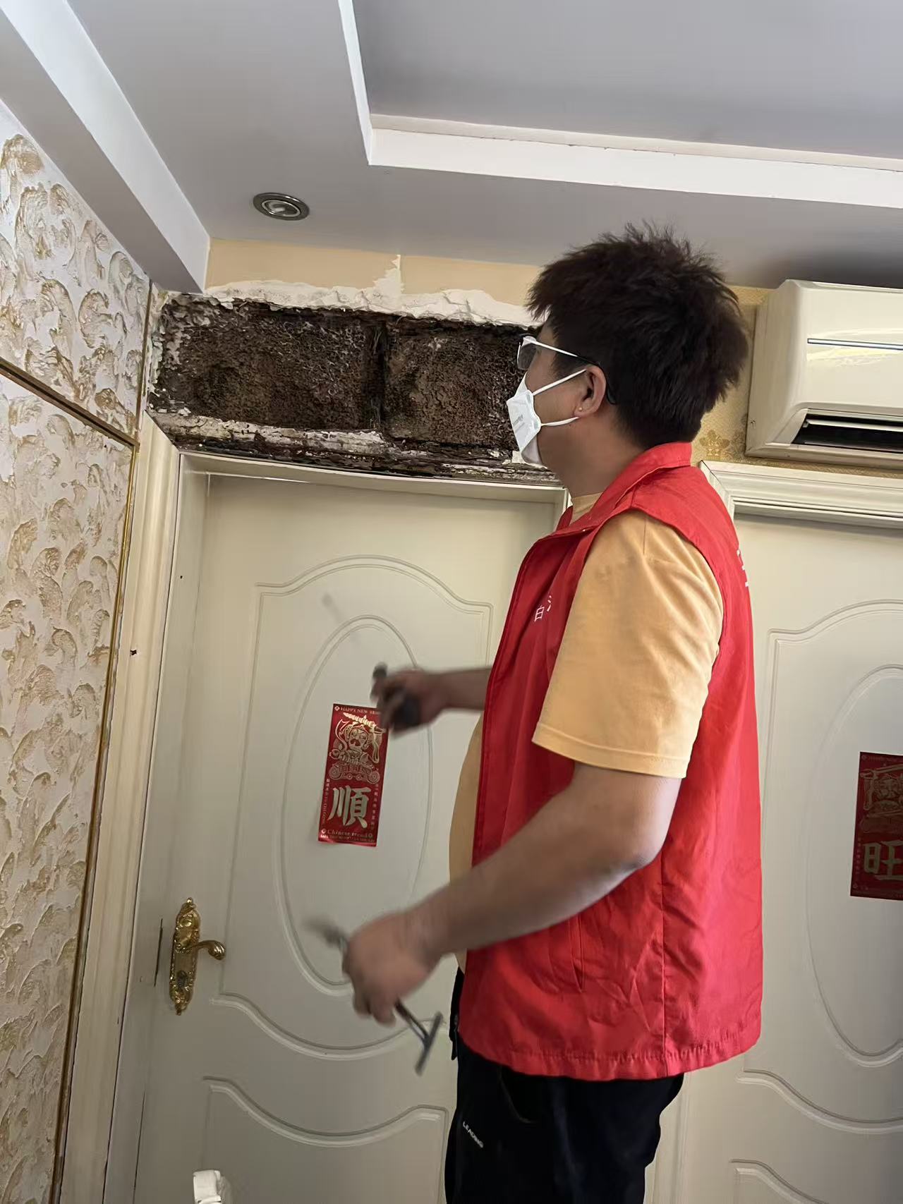 平潭专业灭白蚁：守护海岛家园的绿色卫士