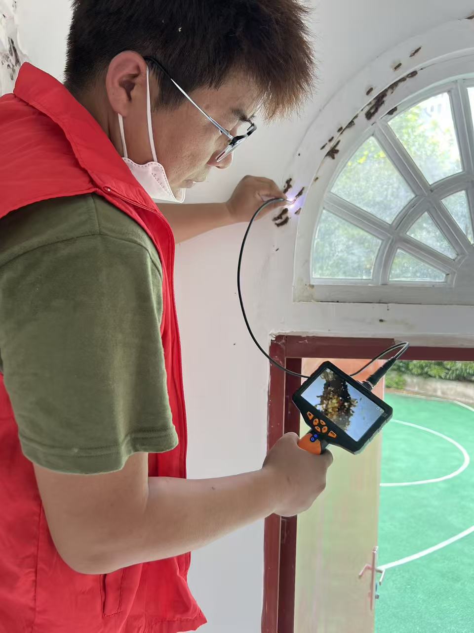 杭州市白蚁防治站：白蚁蛀屋顶中梁：隐秘的威胁与防治之道