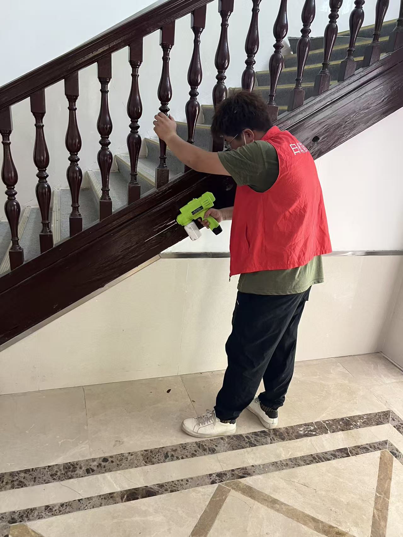 家里突然飞来很多白蚁：一场意外的生态入侵与应对指南