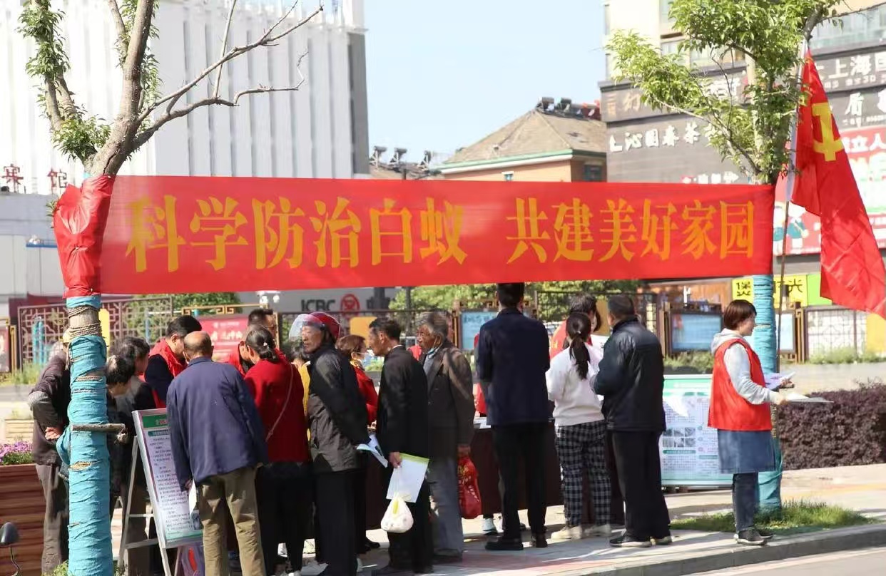 白蚁对战黑影谁会赢：一场微观世界的生存博弈