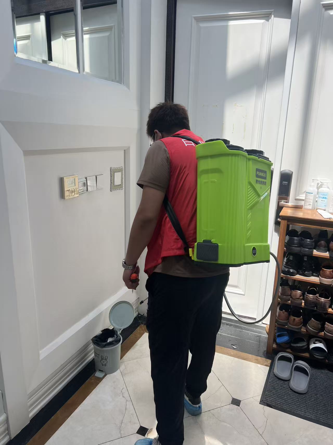 杭州市白蚁防治站：养白蚁大窝：一场与微小生命的奇妙共生之旅