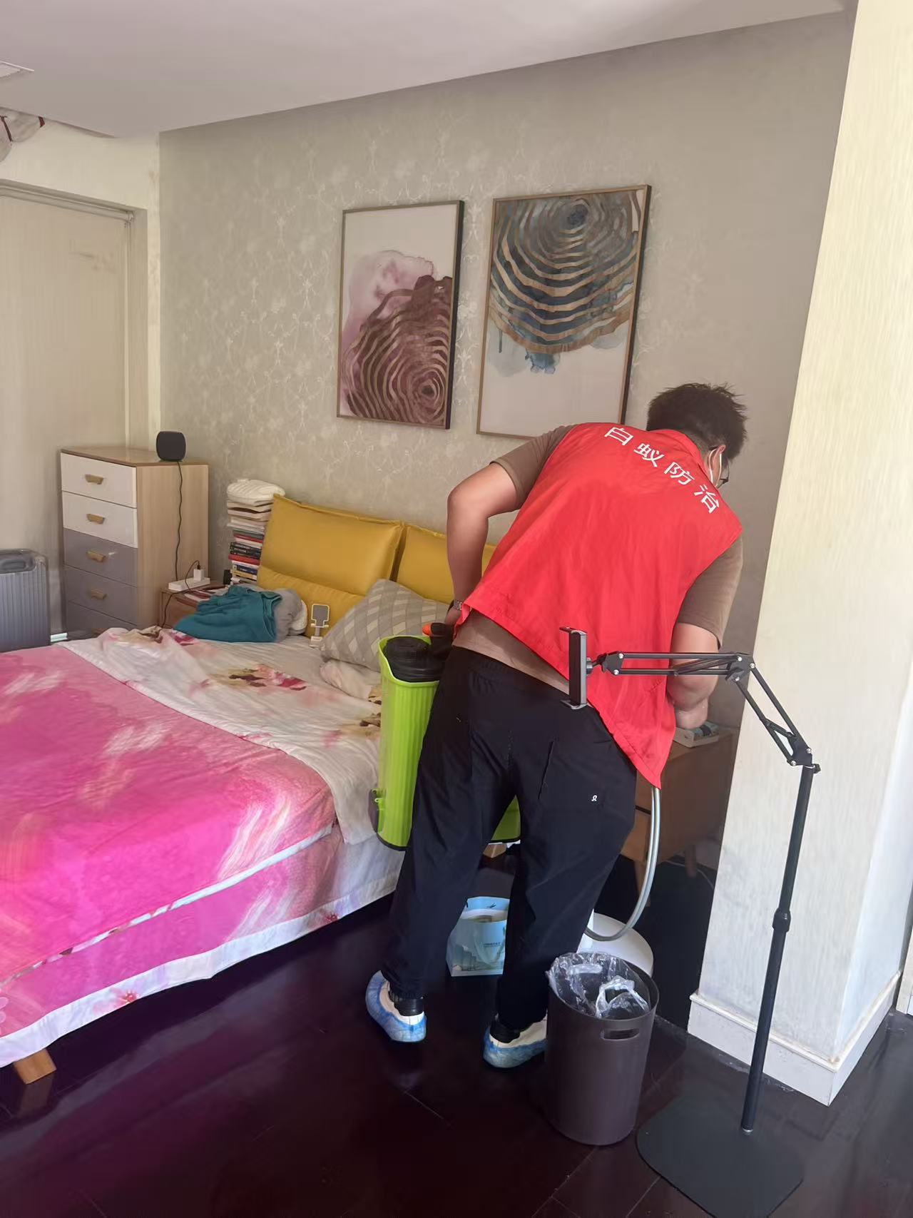 杭州市白蚁防治站：白蚁咬到多久好：了解症状、处理与恢复时间