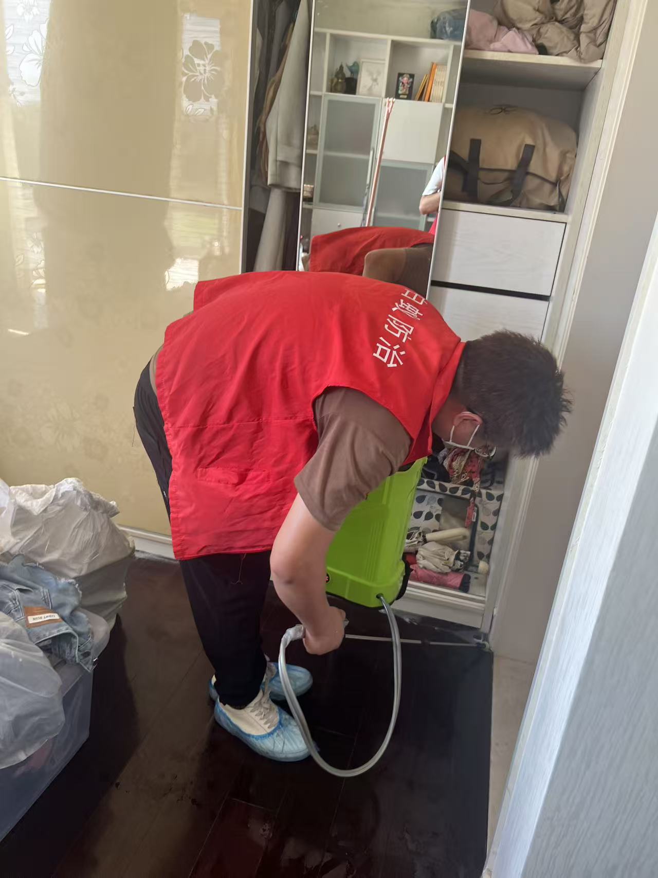 瓷砖上的白蚁怎么清除？全面解析家庭白蚁防治指南