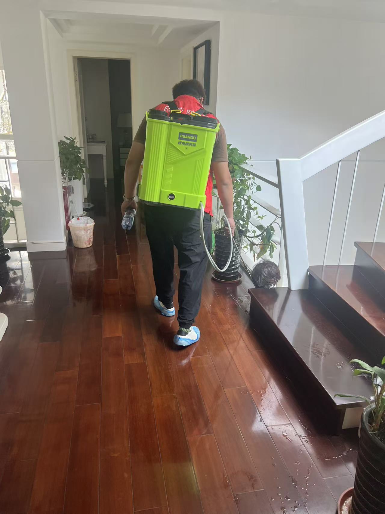 杭州市白蚁防治站白蚁防治所-便民收藏官方发布电话