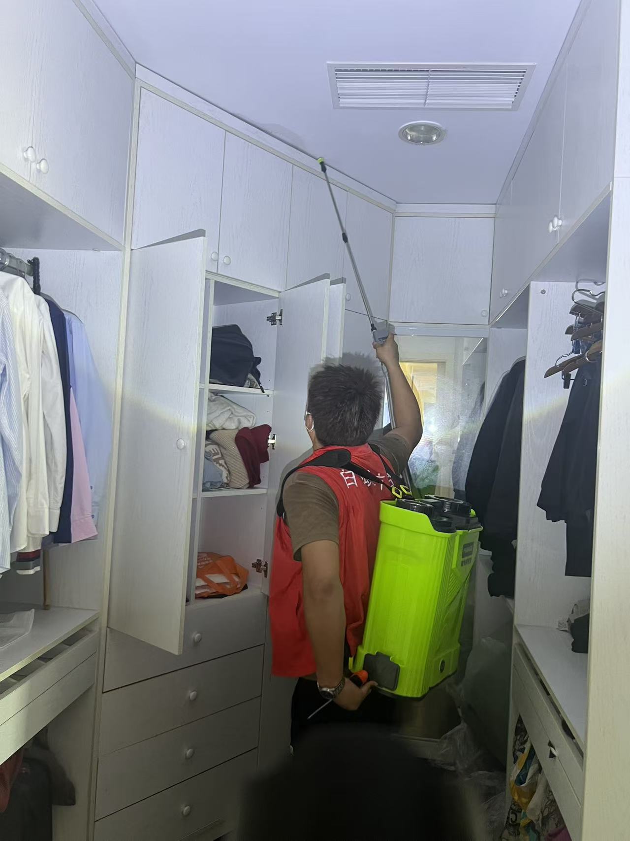 白蚁防治与新型墙体材料收费：现代建筑的双重挑战