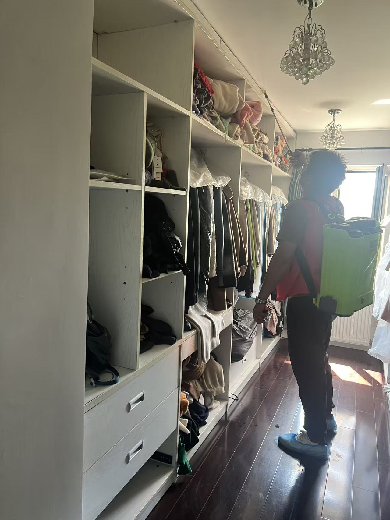 杭州市白蚁防治站:怎么防白蚁处理:全面指南与实用技巧 杭州市白蚁防治站:怎么防白蚁处理:全面指南与实用技巧