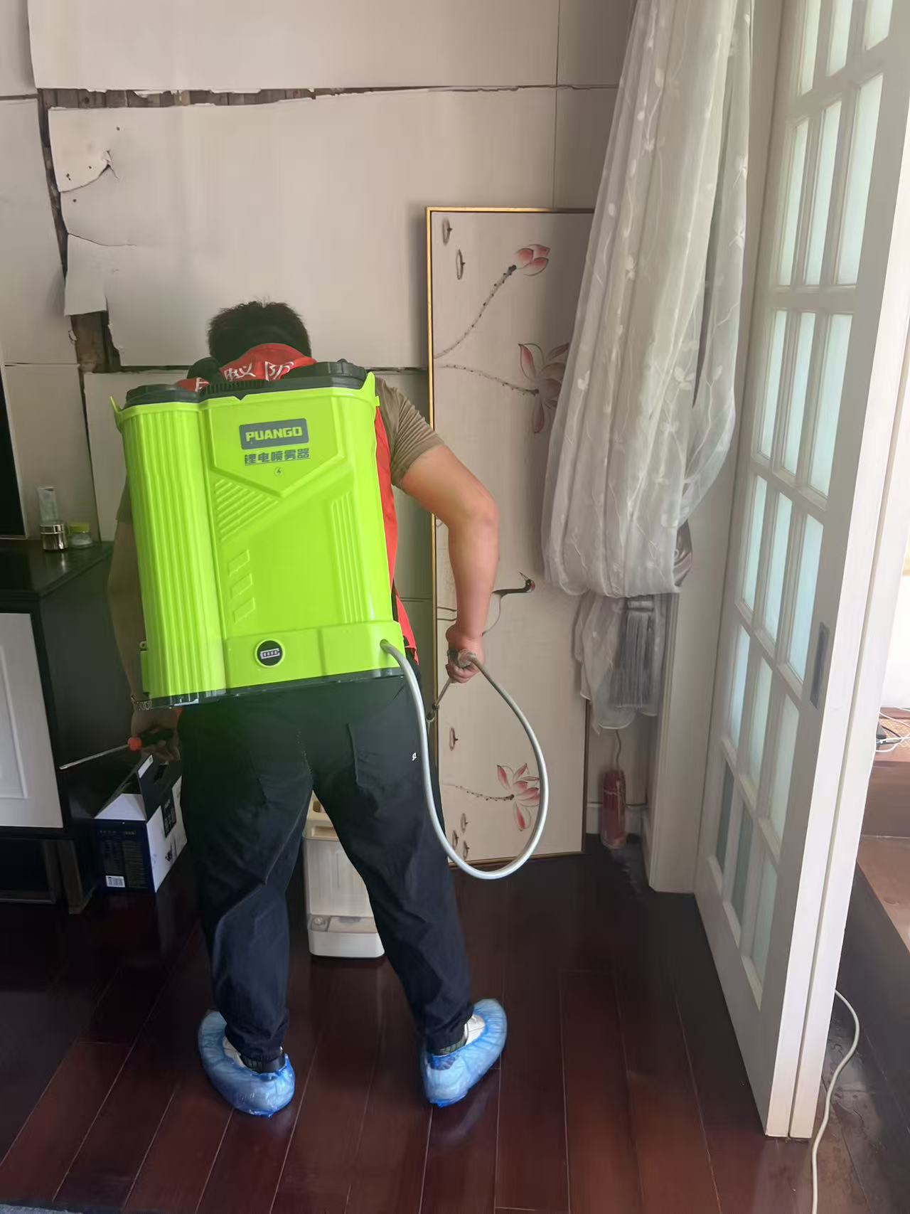 杭州市白蚁防治站:单位工厂除白蚁收费标准详解:如何合理选择与预算控制 杭州市白蚁防治站:单位工厂除白蚁收费标准详解:如何合理选择与预算控制