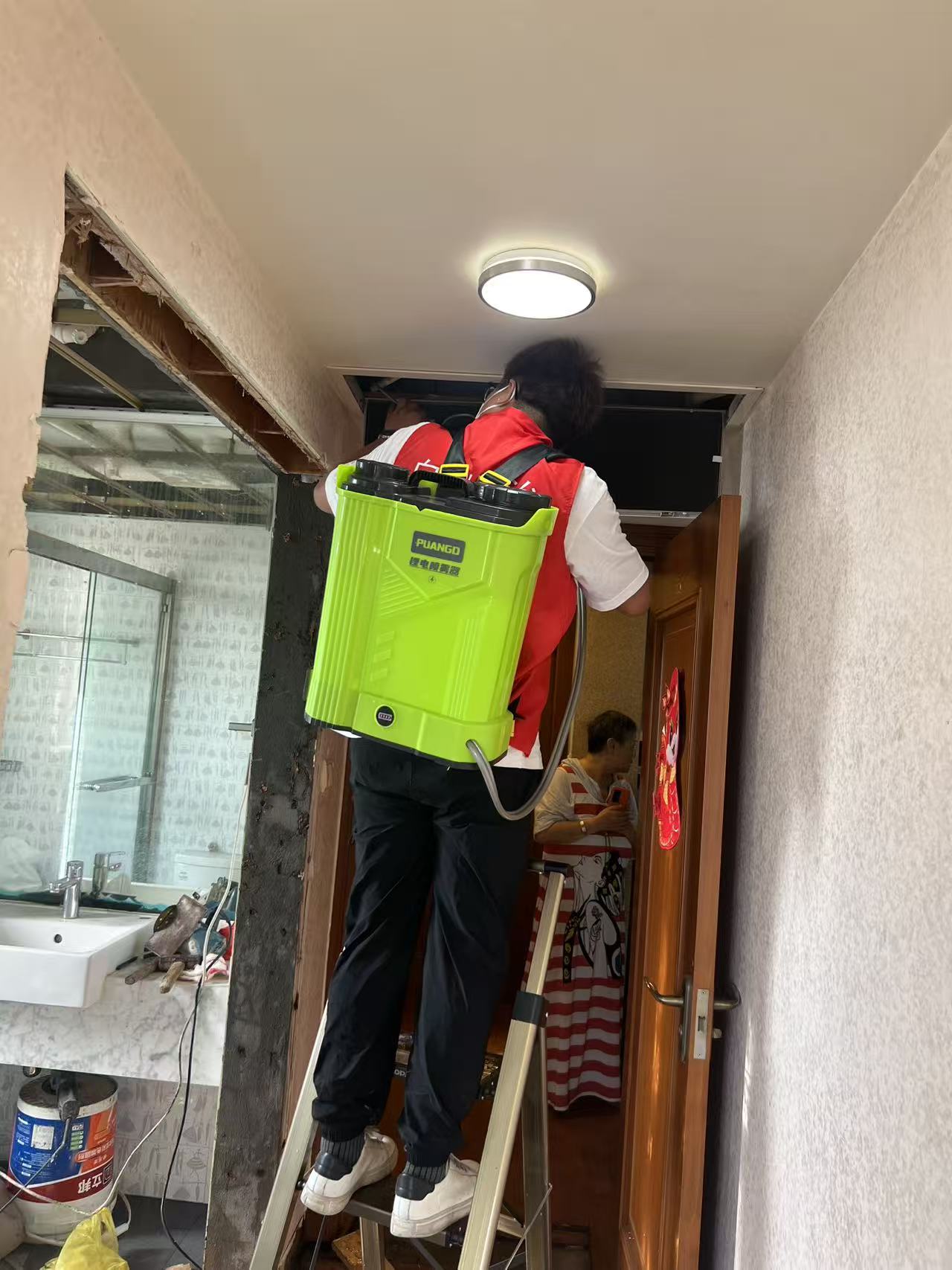 瓷砖上的白蚁怎么清除？全面解析家庭白蚁防治指南