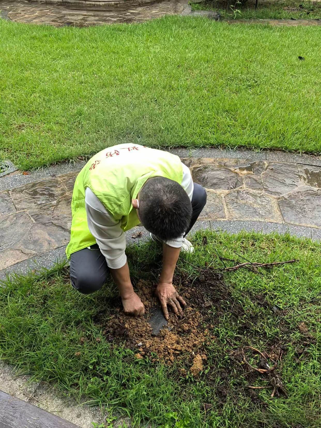 高科技找白蚁窝：现代科技如何精准定位白蚁巢穴