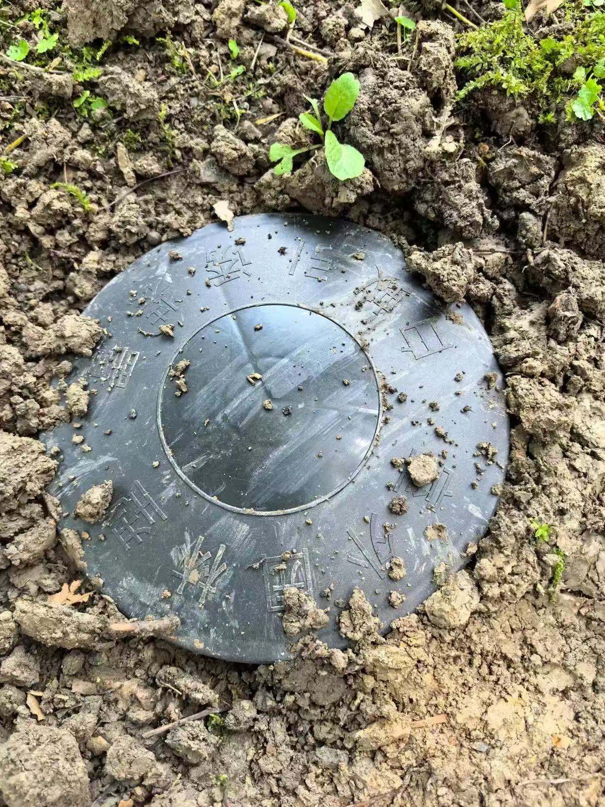 瓷砖上的白蚁怎么清除?全面解析家庭白蚁防治指南 瓷砖上的白蚁怎么清除?全面解析家庭白蚁防治指南