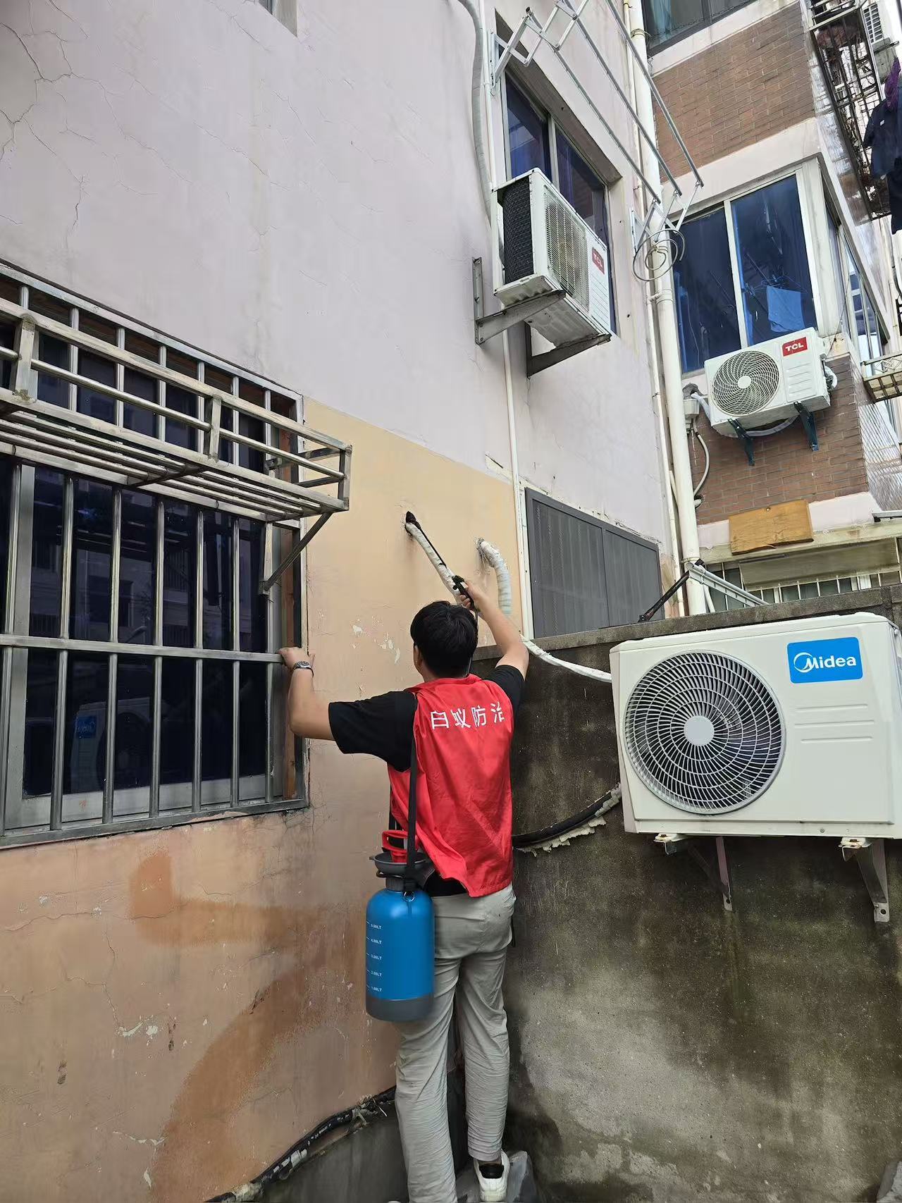 绍兴市白蚂蚁办公室：家里为啥长白蚁呢？揭秘白蚁入侵的根源与防治之道