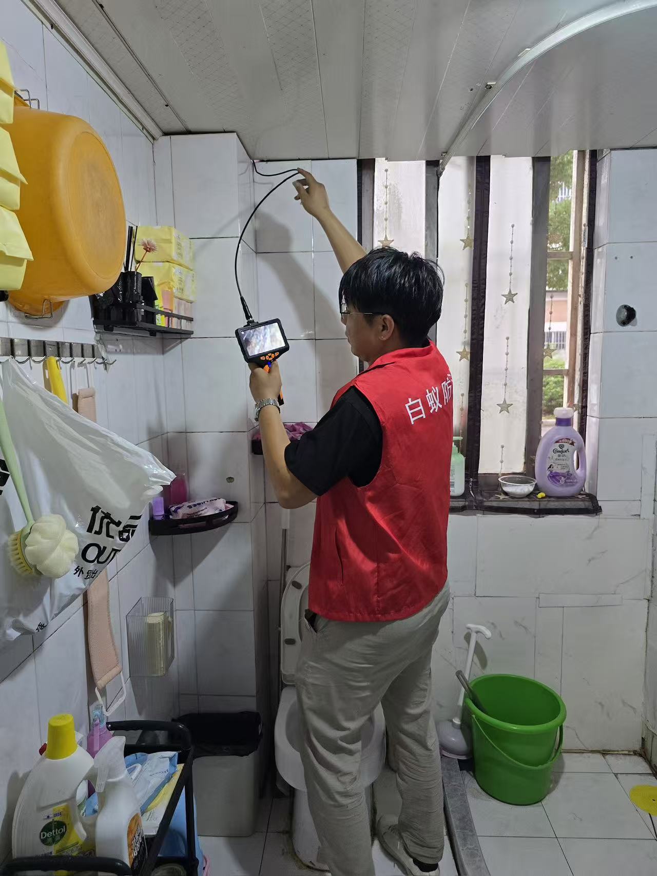 沙田工厂防治白蚁厂家：守护工业环境，远离蚁患威胁