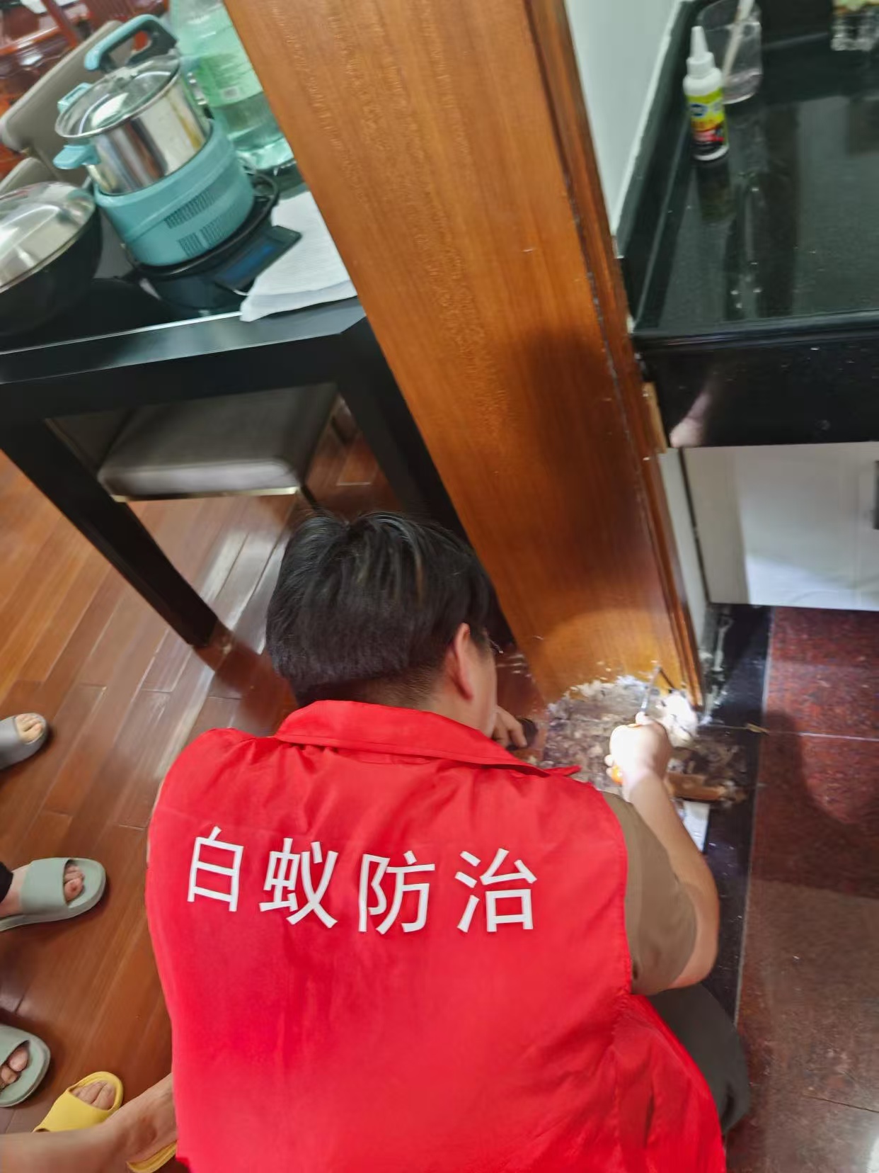 杭州市白蚁防治站：宁乡市白蚁防治：守护家园的隐形卫士