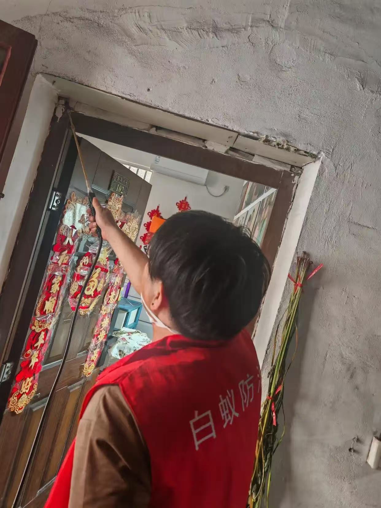 杭州市白蚁防治站：物业白蚁消杀宣传：守护家园，远离白蚁之患